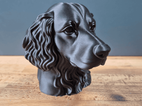 Perro